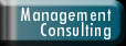 Management Consulting